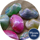 8167 - Polished River Oyster Pair - Assorted Colours 7.5-10cm